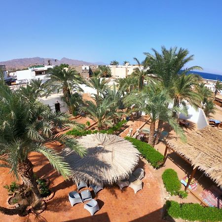 Miramar Camp Dahab Hotel Ngoại thất bức ảnh