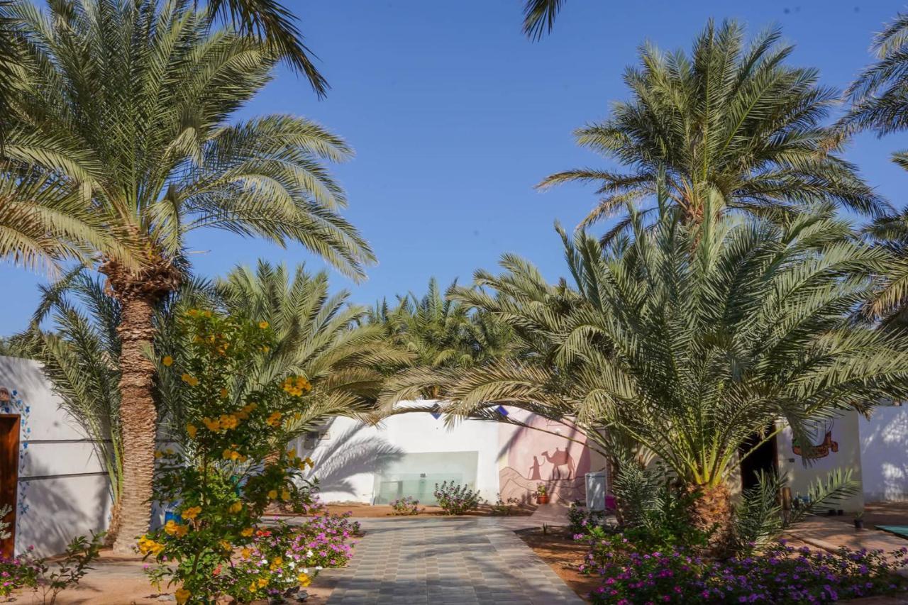 Miramar Camp Dahab Hotel Ngoại thất bức ảnh