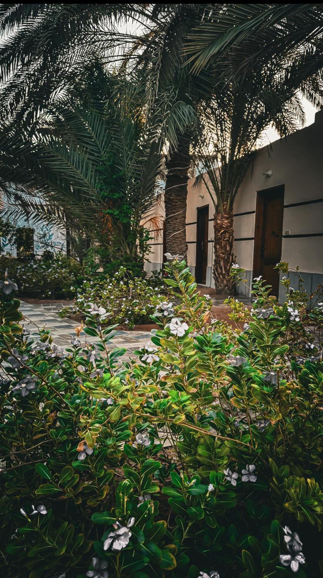Miramar Camp Dahab Hotel Ngoại thất bức ảnh