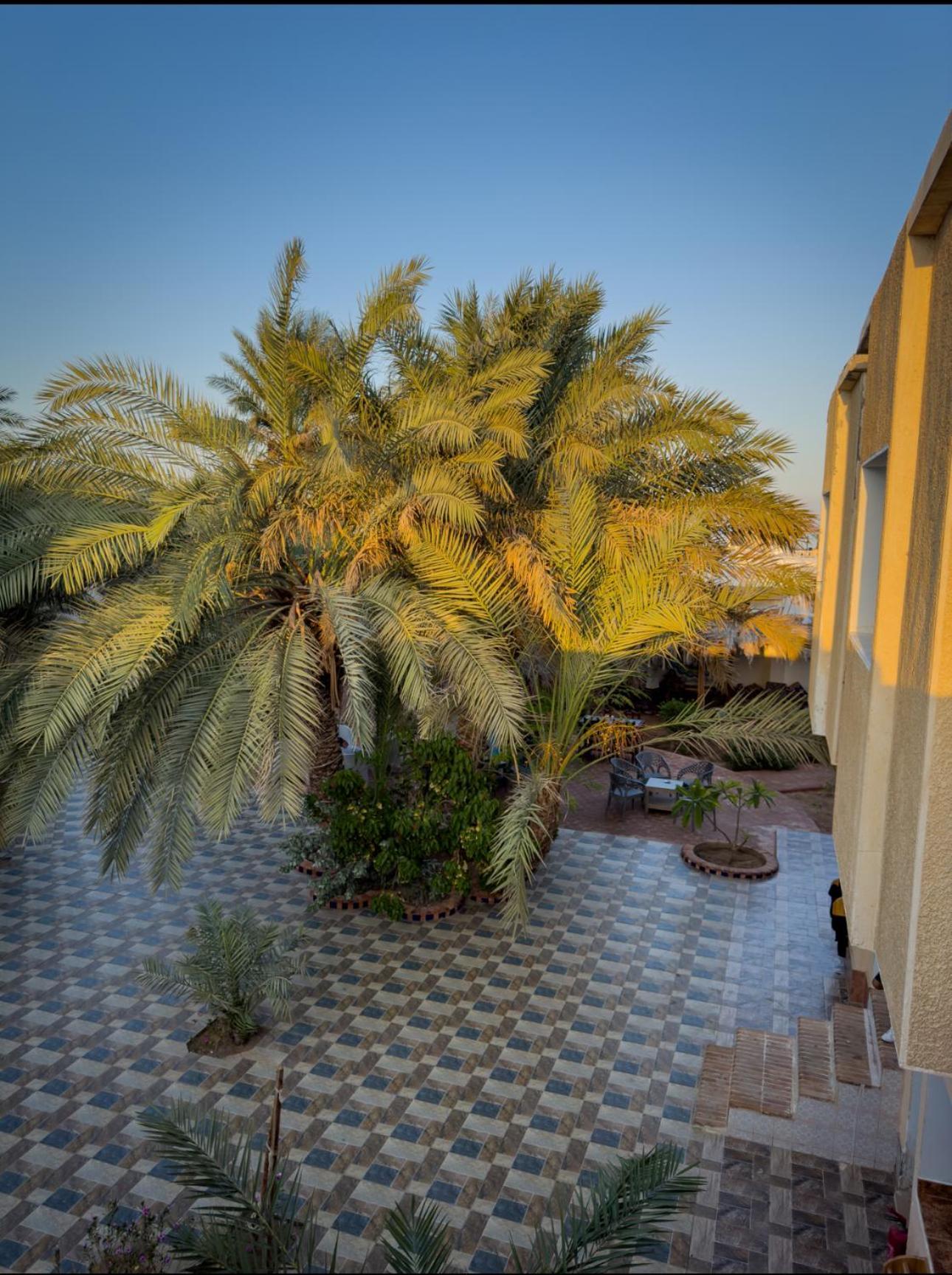 Miramar Camp Dahab Hotel Ngoại thất bức ảnh
