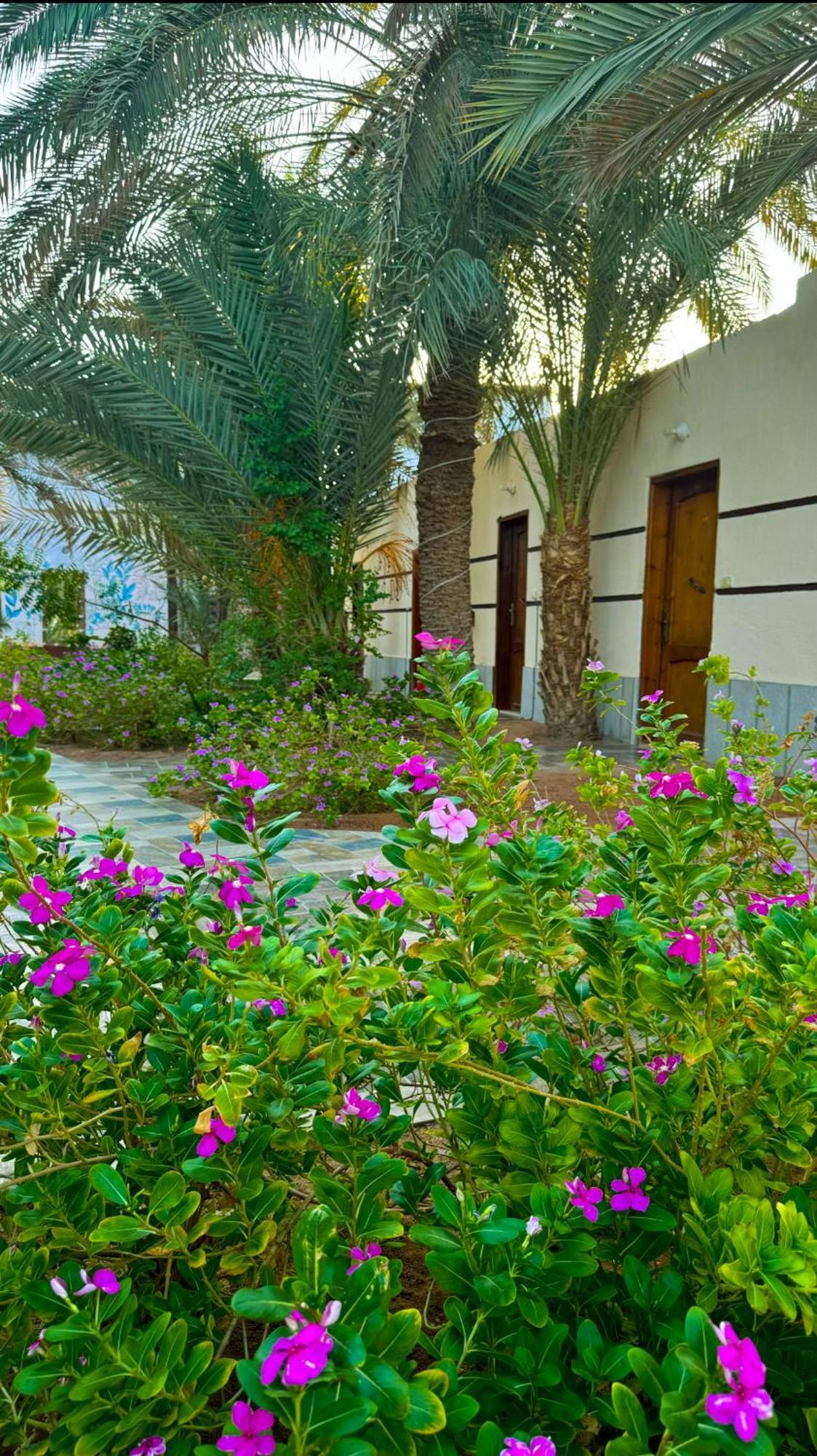 Miramar Camp Dahab Hotel Ngoại thất bức ảnh