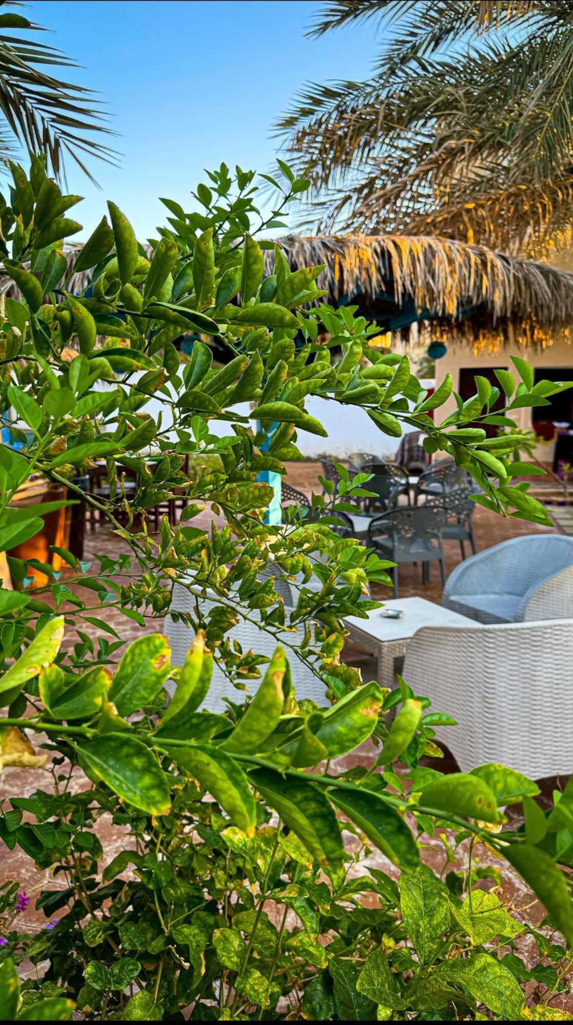Miramar Camp Dahab Hotel Ngoại thất bức ảnh
