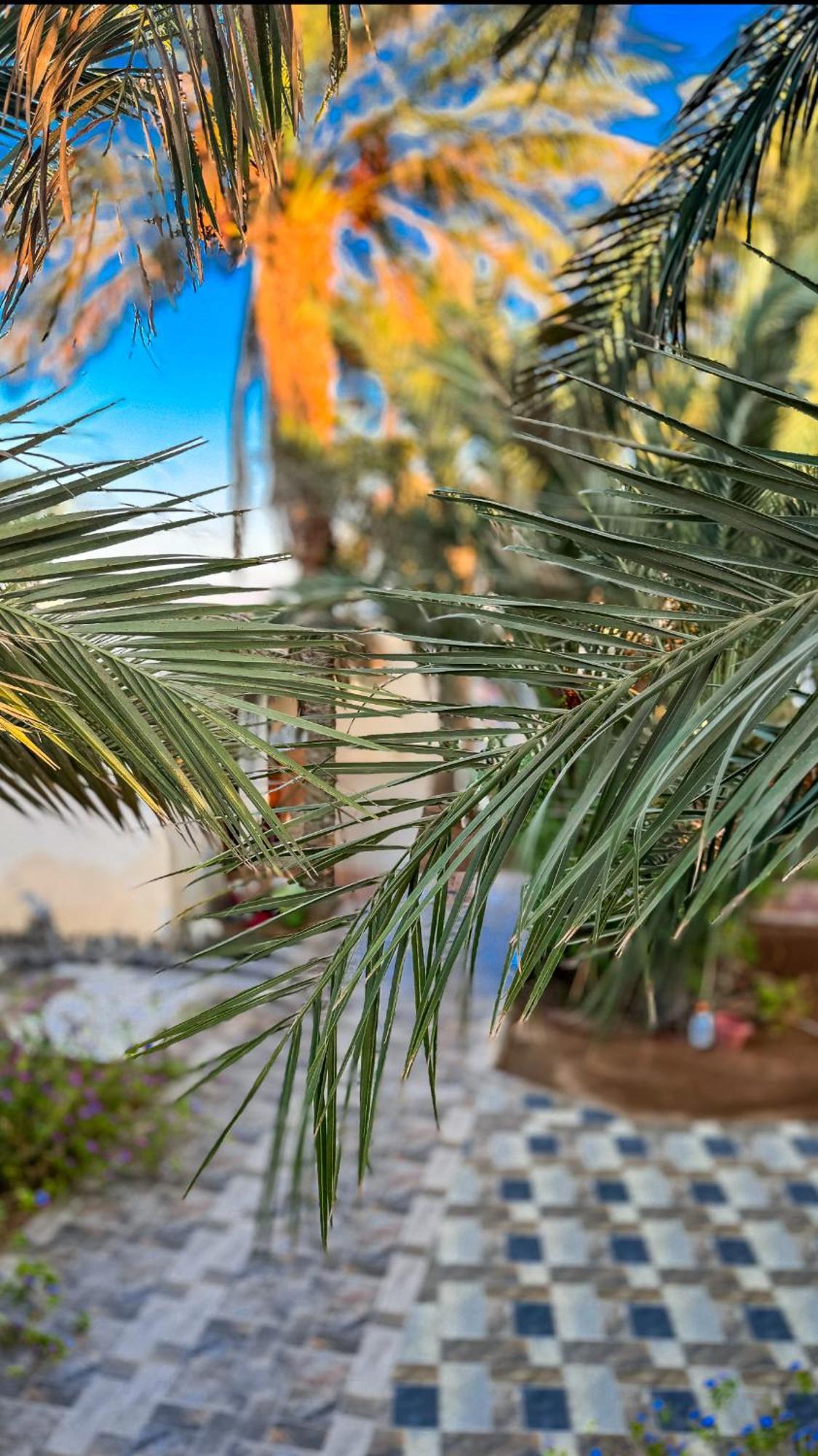 Miramar Camp Dahab Hotel Ngoại thất bức ảnh