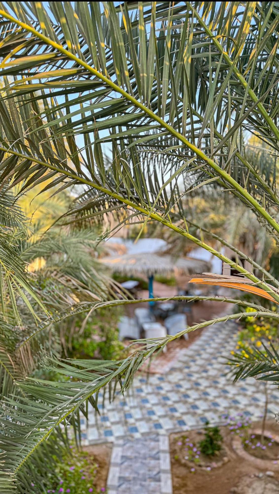 Miramar Camp Dahab Hotel Ngoại thất bức ảnh
