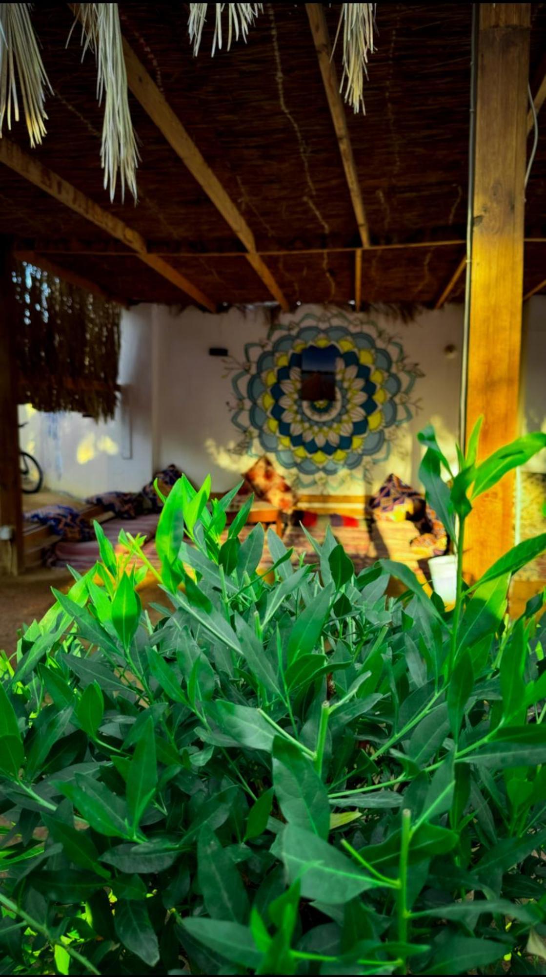 Miramar Camp Dahab Hotel Ngoại thất bức ảnh