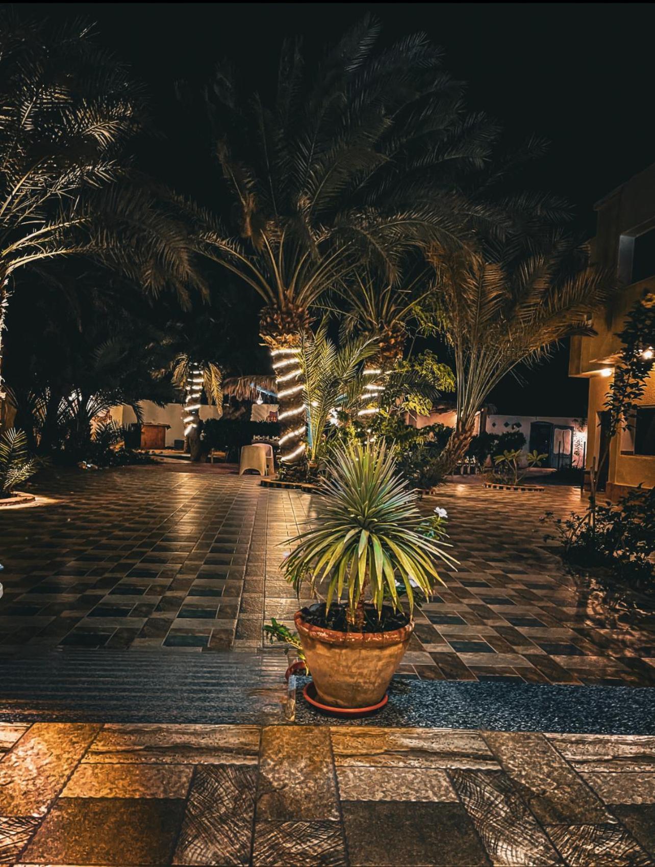 Miramar Camp Dahab Hotel Ngoại thất bức ảnh