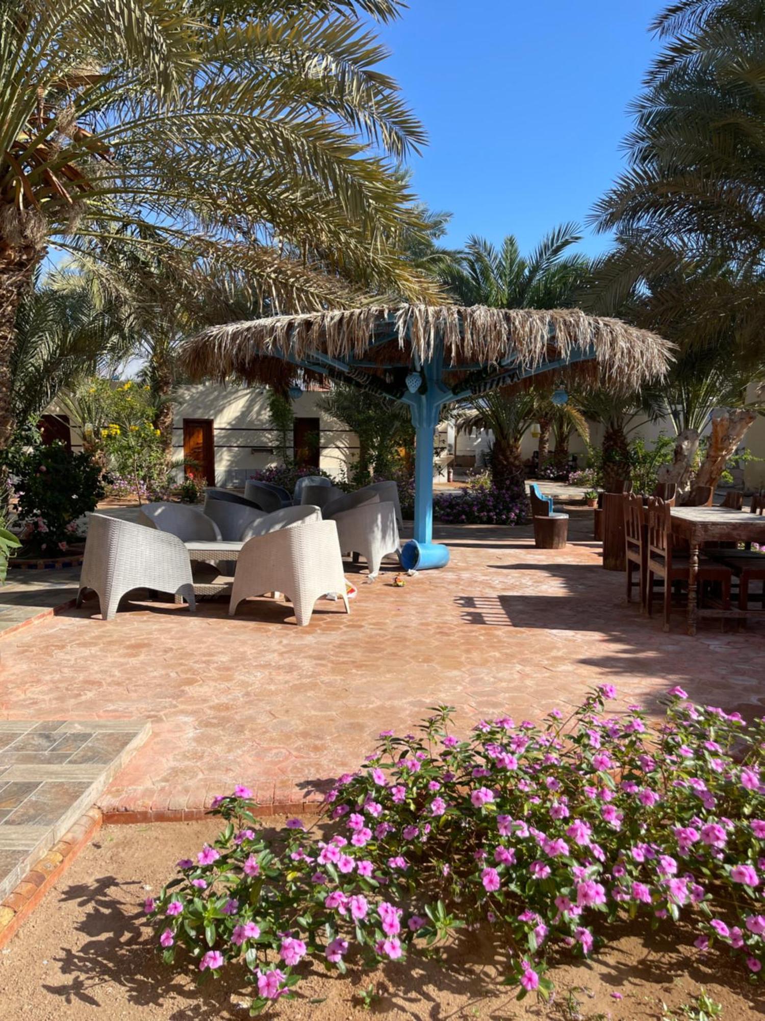 Miramar Camp Dahab Hotel Ngoại thất bức ảnh